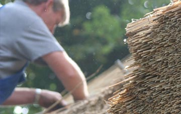 professional Plean thatchers